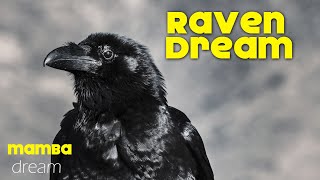 What does Ravendream meaning  dream interpretation  dreaminh of Raven [upl. by Holmun]