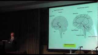 The Neurobiology of Freedom [upl. by Ddarb]