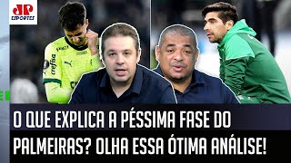 quotÉ ISSO QUE EU VEJO SABE o que TÁ ACONTECENDO com o Palmeiras do Abel pra mimquot OLHA essa ANÁLISE [upl. by Hcirdeirf]