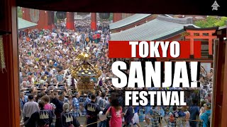 Tokyo’s Sanja Festival 2024 Live Experience  Asakusa Street View [upl. by Nepean]