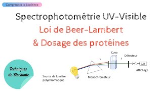 Loi de Beer Lambert  dosage par étalonnage en spectrophotométrie [upl. by Yelsehc728]