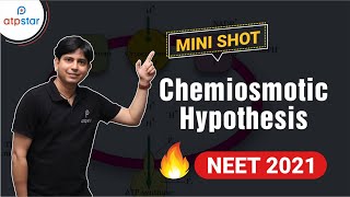 NEET 2021  Chemiosmotic Hypothesis  ATP synthesis  Light reaction  Class 11  Botany  Mini Shot [upl. by Justine]