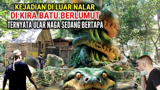 Geger  Dikira Batu Berlumut Ternyata Ular Naga Raksasa Sedang Bertapa [upl. by Ramu]