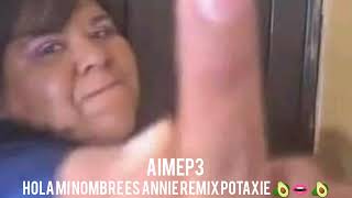 Hola mi nombre es ANNIE 💜 remix potaxie [upl. by Ibmat93]