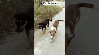 Pichla janam ek atut rishta dosti  ytshorts shortvideos funnyvideo comedy instagram reels [upl. by Enner860]