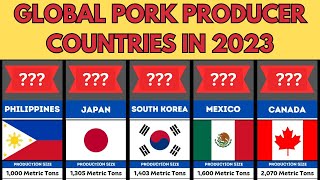 Pork Production Global Pork Producer Countries 2023 Pork Producer Countries [upl. by Arlyn]