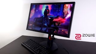 BenQ ZOWIE XL2411K eSport Gaming Monitor 2021 Review [upl. by Eehsar]