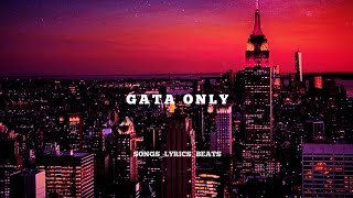 Gata Only Lyrics  slowed and reverb songs songs gata slowedandreverb shorts [upl. by Hayyikaz]