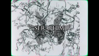 ODD  SERAPHIM Lyric Video [upl. by Alwitt]