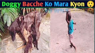 Doggy Ka Bacche Ko Mara Kyon 😲 [upl. by Eibreh949]