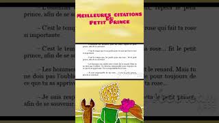 Top Citations du PETIT PRINCE Cest le temps que tu as perdu pour ta rose lepetitprince shorts [upl. by Acirem]