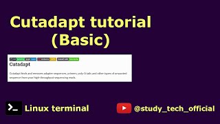 Cutadapt tutorial 🛠️Install 💻 Run 🎓 Paired end bioinformatics biology [upl. by Sailesh]