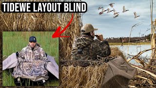 TideWe Layout Blind Review NEW PRODUCT [upl. by Drahnreb844]