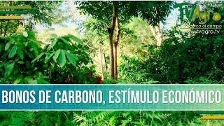 Que son los Bonos de Carbono  TvAgro por Juan Gonzalo Angel [upl. by Otiragram]