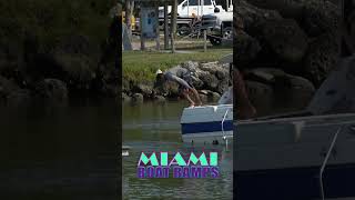 He Takes A Swim  Miami Boat Ramps miami boat boatlife fail hangon [upl. by Douglass]