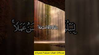 Surah AlMulk 12 Verses Recitation  Syed Faizan Ullah Official [upl. by Fawcett306]