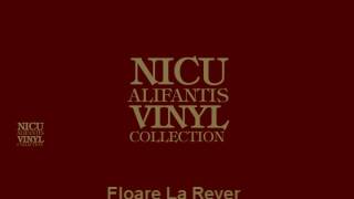 Nicu Alifantis  Floare la rever [upl. by Anaujahs]