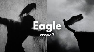 Eagle or crow   Pro Pexo [upl. by Tibbs]