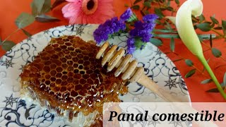 Es el panal de abeja comestible beneficios y cómo comerlo [upl. by Wilone]