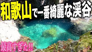 【絶景】徒歩1時間で行く和歌山で一番綺麗な川を見に行ってみた！ [upl. by Dryden557]