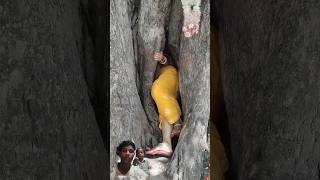 Ped ke ander 😱🤯 song vlog love funny nature shotrs ytshorts [upl. by Animsay]