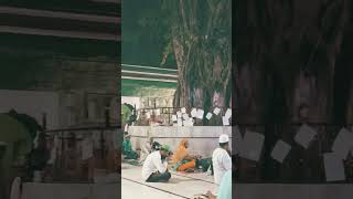 sabirpak kaliyar sharif sabir pak ki dargah [upl. by Lovmilla140]