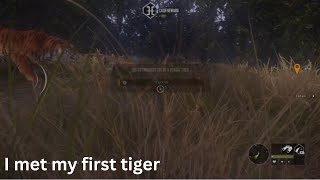 I get knocked out by a bengal tiger [upl. by Iba450]