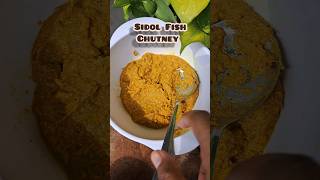 Sidol Chutney ❤️ ytshorts minivlog food foodie cooking foodreview [upl. by Oirevas]