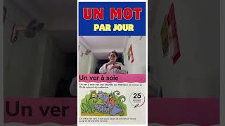 Un mot par jour J330 Un ver de soie vietnam france français vn french gs worms silk soie [upl. by Xed805]