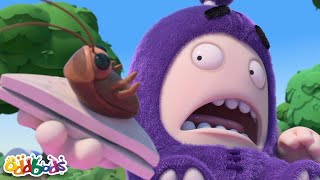 Thats Not What Jeff Ordered  Oddbods Cartoons  Funny Cartoons For Kids [upl. by Llemrej788]