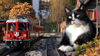 Gartenbahn Herbstimpressionen [upl. by Enirehtacyram]