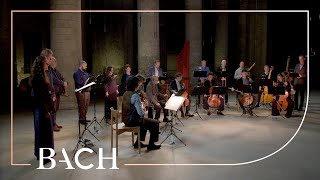 Bach  The Art of Fugue BWV 1080  Sato  Netherlands Bach Society [upl. by Nawad]