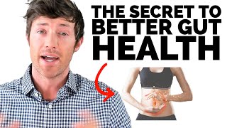 The KEY To Healing Your Gut Youre Missing This [upl. by Jereld]