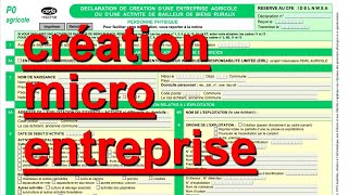 création micro entreprise Apicole [upl. by Mcgrath581]