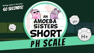 pH Scale  Amoeba Sisters Shorts [upl. by Aronid]