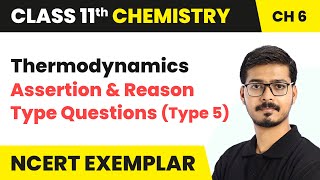 Thermodynamics  Assertion and Reason Questions Type 5  Class 11 Chemistry Ch 6 NCERT Exemplar [upl. by Brasca475]