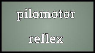 Pilomotor reflex Meaning [upl. by Fabrianna436]