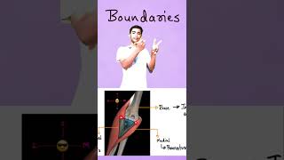 Mastering the Cubital Fossa Boundaries and Contents Explained for 1st Year MBBS Student [upl. by Dupuy]