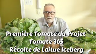 Visite Tomates Laitue Basilic Coriandre Figuiers et Plus [upl. by Akcinehs850]