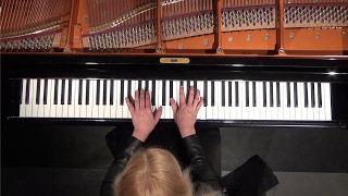 Valentina Lisitsa BEETHOVEN quotAppassionataquot Piano sonata No 23 Fminor op 57 on Bösendorfer [upl. by Brandt]