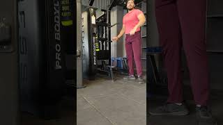 Bar Dips for Back [upl. by Hertberg]