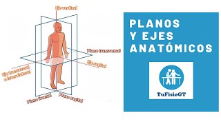 Planos y ejes anatómicos TuFisioGt [upl. by Ninnette]