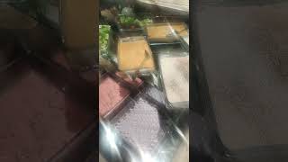 Rose Palace Buffet youtube food contentcreator viralvideos shorts travel fyp reel lahore [upl. by Anaujal169]