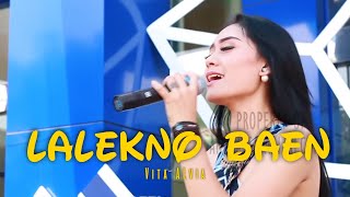 Lalekno Baen  Vita Alvia  Official Music Video ANEKA SAFARI [upl. by Worthy]