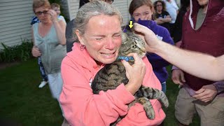 Firefighters Rescued a Cat from a Well The Owner’s Reaction was Unexpected for Everyone [upl. by Bohlin]