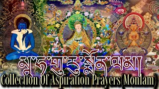 ☸Collection Of Aspiration PrayerMonlamསྨོན་ལམTibetan Prayer Sangcho Monlam PrayerBuddhist Monks [upl. by Sualkin]