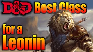 Best DampD Class for Playing a Leonin [upl. by Proud48]