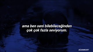 Billie Eilish  61818 Türkçe Çeviri [upl. by Aifoz]