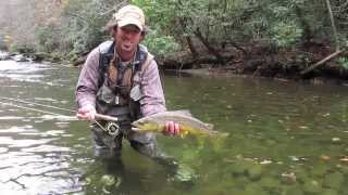 Fly Fishing for Large Brown Trout in the Smokies in the Fall [upl. by Aivizt]