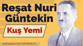 Reşat Nuri Güntekin  Kuş Yemi Sesli Hikaye [upl. by Haimes]